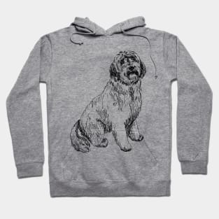 labradoodle portrait Hoodie